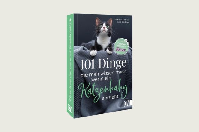 101 Dinge die man wissen muss wenn ein Katzenbaby einzieht.jpg